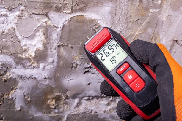Best Crawl Space Mold Removal  in Mesita, NM